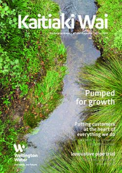 Kaitiaki Wai - Wellington Water