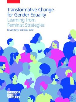 Transformative Change for Gender Equality Learning from Feminist ...