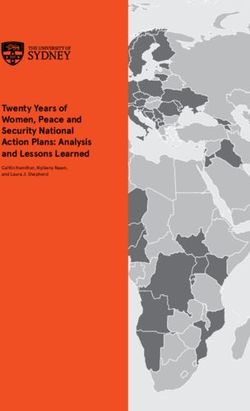 Twenty Years of Women, Peace and Security National Action Plans: Analysis and Lessons Learned - Caitlin Hamilton, Nyibeny Naam, and Laura J. Shepherd