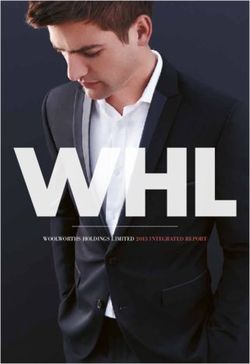 WoolWorths holdings limited 2013 integrated report