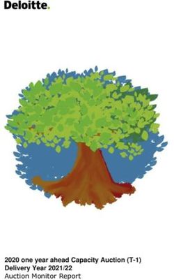 2020 one year ahead Capacity Auction (T-1) Delivery Year 2021/22 - Auction Monitor Report - Gov.uk