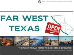FAR WEST TEXAS THE WEST TEXAS ROAD TO ECONOMIC GROWTH: West Texas Comprehensive Economic Development Strategy - City of ...
