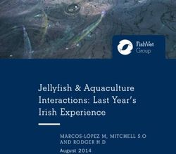 Jellyfish & Aquaculture Interactions: Last Year's Irish Experience - MARCOS-LÓPEZ M, MITCHELL S.O AND RODGER H.D