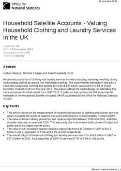Household Satellite Accounts - Valuing Household Clothing and Laundry Services in the UK