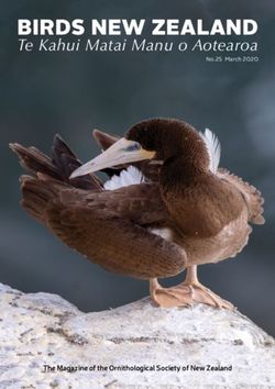 BIRDS NEW ZEALAND Te Kahui Matai Manu o Aotearoa - The Magazine of the Ornithological Society of New Zealand