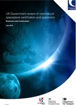 UK Government review of commercial spaceplane certification and operations - Summary and conclusions