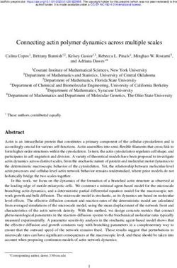 Connecting actin polymer dynamics across multiple scales - bioRxiv