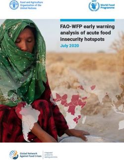FAO-WFP early warning analysis of acute food insecurity hotspots - July 2020