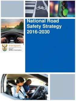 National Road Safety Strategy 2016-2030 - National Road Safety Strategy ...