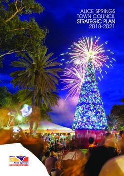 ALICE SPRINGS TOWN COUNCIL STRATEGIC PLAN 2018-2021