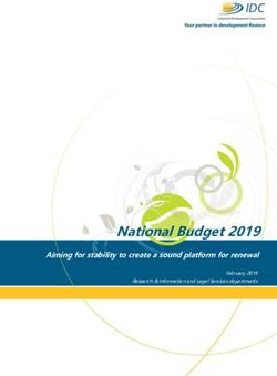 National Budget 2019 Aiming for stability to create a sound platform for renewal - IDC