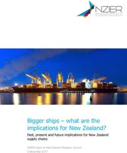 Bigger ships - what are the implications for New Zealand? - Past, present and future implications for New Zealand supply chains - New Zealand ...