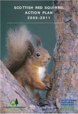 SCOTTISH RED SQUIRREL ACTION PLAN 2006-2011