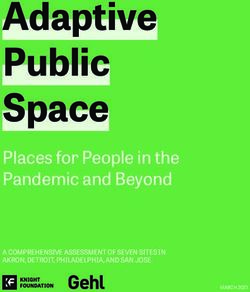 Adaptive Public Space - Places for People in the Pandemic and Beyond A COMPREHENSIVE ASSESSMENT OF SEVEN SITES IN AKRON, DETROIT, PHILADELPHIA ...