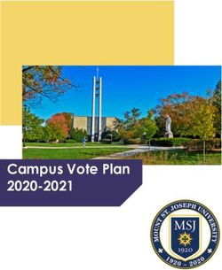 Campus Vote Plan 2020-2021 - ALL IN Campus Democracy ...