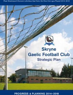 SKRYNE GAELIC FOOTBALL CLUB - STRATEGIC PLAN - PROGRESS & PLANNING 2014-2018 - SKRYNE GFC
