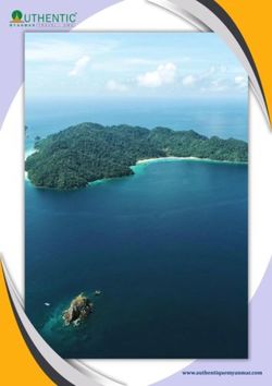 AM-FISHING (GT FISH)-06D-05N-2020-2021 - Yangon-Kawthaung-Yangon - Authentic Myanmar Travel ...