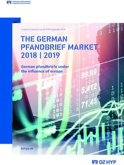 THE GERMAN PFANDBRIEF MARKET - 2018 | 2019 German pfandbriefe under the influence of europe - DZ Hyp