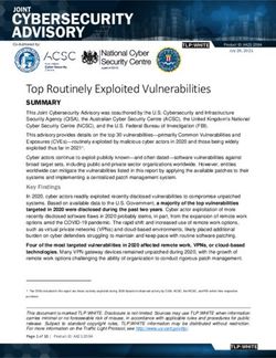 Top Routinely Exploited Vulnerabilities - SUMMARY