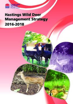 Hastings Wild Deer Management Strategy 2016-2018 - North Coast - North Coast Local Land ...