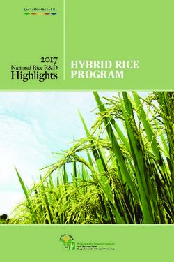 HYBRID RICE PROGRAM - Philippine Rice Research Institute