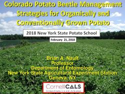 Colorado Potato Beetle Management Strategies for Organically and Conventionally Grown Potato - Brian A. Nault Professor Department of Entomology ...