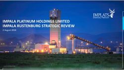 IMPALA PLATINUM HOLDINGS LIMITED IMPALA RUSTENBURG STRATEGIC REVIEW - 2 August 2018 - Implats