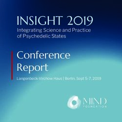 INSIGHT 2019 Conference Report - Integrating Science and Practice of Psychedelic States - Insight Conference