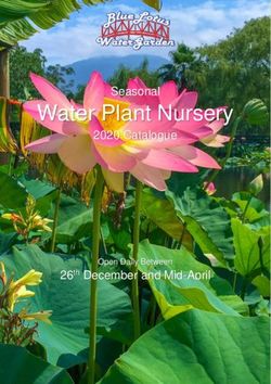 Water Plant Nursery Seasonal 2020 Catalogue - 26th December and Mid-April Open Daily Between - Blue Lotus Water Garden