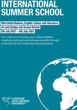 INTERNATIONAL SUMMER SCHOOL