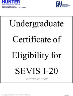 Undergraduate Certificate of Eligibility for - SEVIS I-20 - Hunter ...
