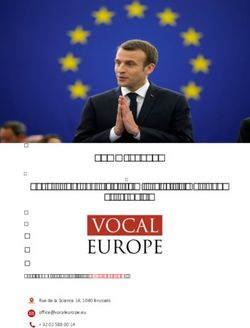 COMMENTARY The 2019 European Elections: A Trial to Macron's Leadership - *This Commentary was written by José Diogo Alves.