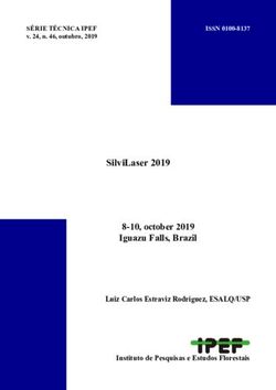 SilviLaser 2019 8-10, october 2019 Iguazu Falls, Brazil - Luiz Carlos Estraviz Rodriguez, ESALQ/USP - IPEF