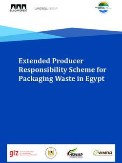 Extended Producer Responsibility Scheme for Packaging Waste in Egypt