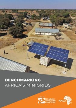 BENCHMARKING AFRICA'S MINIGRIDS - Shell Foundation