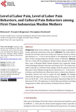 Level of Labor Pain, Level of Labor Pain Behaviors, and Cultural Pain Behaviors among First-Time Indonesian Muslim Mothers
