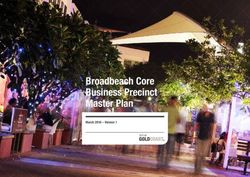 Broadbeach Core Business Precinct Master Plan - March 2016 - Version 1 - City of Gold Coast