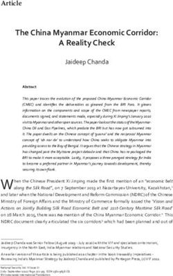 The China Myanmar Economic Corridor: A Reality Check