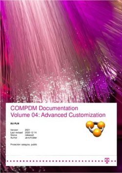 COMPDM Documentation Volume 04: Advanced Customization - T-Systems