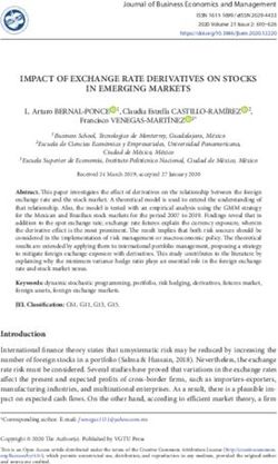 IMPACT OF EXCHANGE RATE DERIVATIVES ON STOCKS IN EMERGING MARKETS