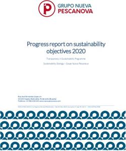 Progress report on sustainability objectives 2020 - Nueva ...