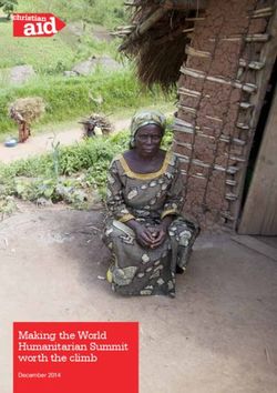 Making the World Humanitarian Summit worth the climb - December 2014