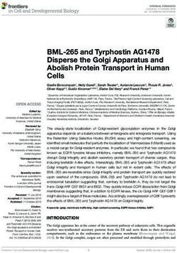 BML-265 and Tyrphostin AG1478 Disperse the Golgi Apparatus and Abolish Protein Transport in Human Cells - Frontiers