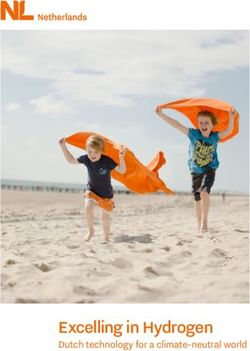 Excelling in Hydrogen - Dutch technology for a climate-neutral world