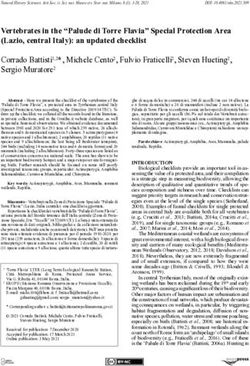 Vertebrates in the "Palude di Torre Flavia" Special Protection Area (Lazio, central Italy): an updated checklist