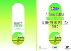 INVESTMENTS ATTRACTION OF IN THE METROPOLITAN AREA - 30METRO - Città Metropolitana di Torino...
