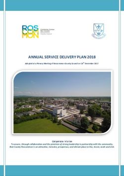 ANNUAL SERVICE DELIVERY PLAN 2018 - Roscommon County Council
