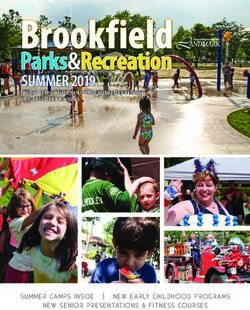 Brookfield Parks&Recreation SUMMER 2019 - SUMMER CAMPS INSIDE | NEW EARLY CHILDHOOD PROGRAMS - Village of Brookfield
