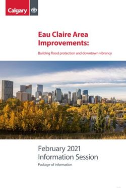 Eau Claire Area Improvements: February 2021 Information Session - Building flood protection and downtown vibrancy