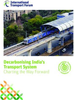 CPB - Decarbonising India's Transport System Charting The Way Forward ...